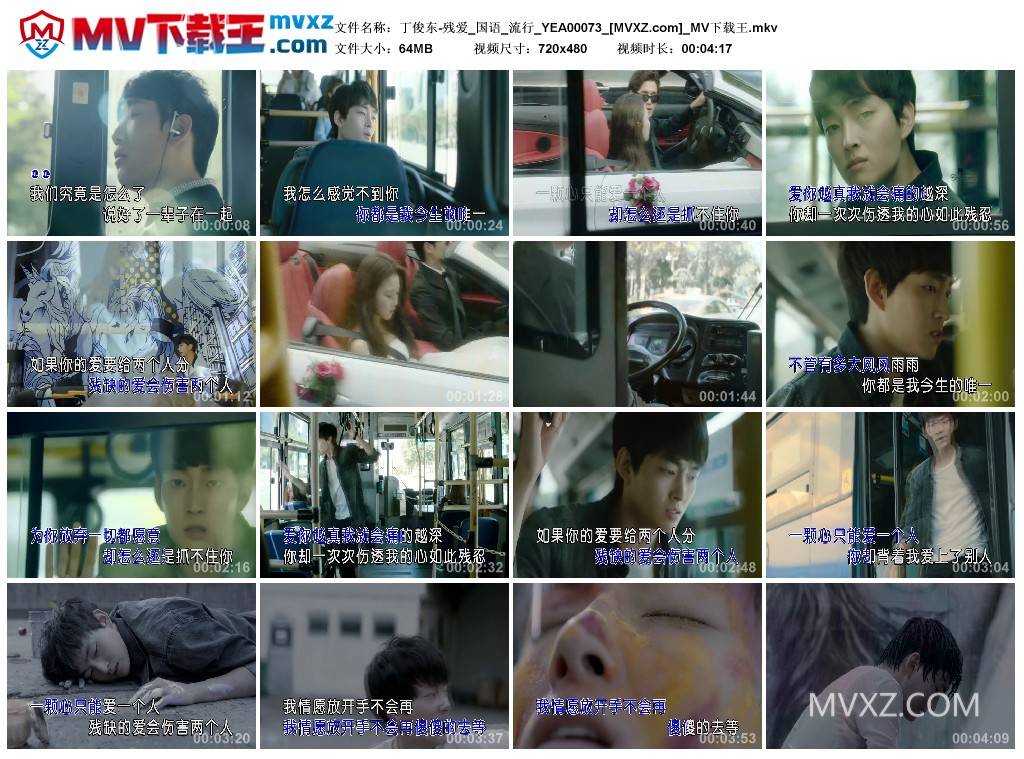 丁俊东-残爱_国语_流行_YEA00073